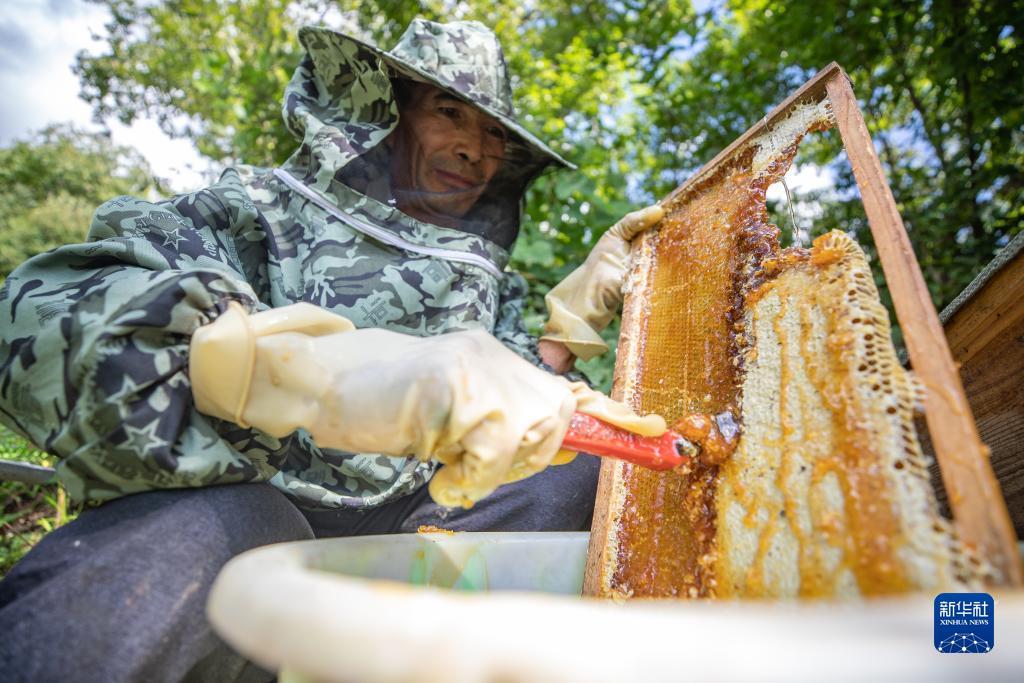 搜狗浏览器